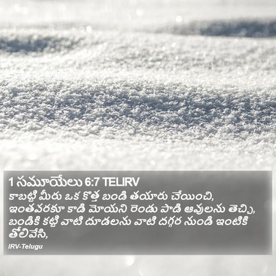 1 సమూయేలు 6:7 TELIRV Bible Verse Image