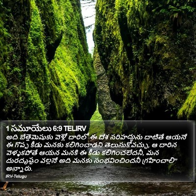 1 సమూయేలు 6:9 TELIRV Bible Verse Image