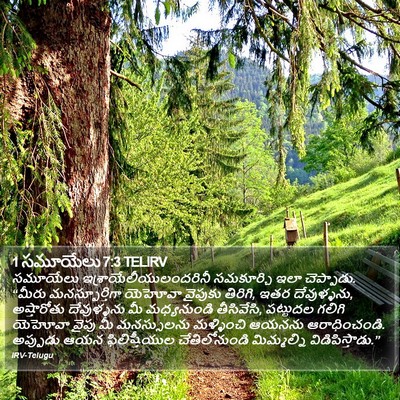 1 సమూయేలు 7:3 TELIRV Bible Verse Image