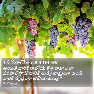 1 సమూయేలు 8:9 TELIRV Bible Verse Image