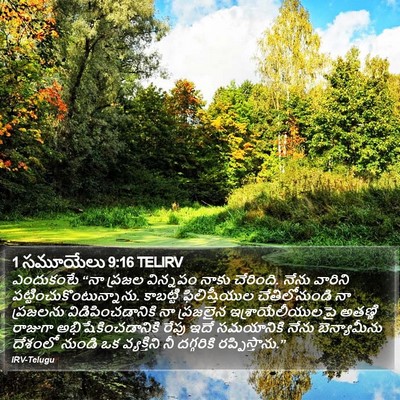 1 సమూయేలు 9:16 TELIRV Bible Verse Image