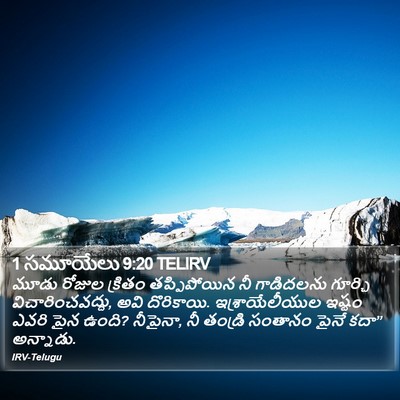 1 సమూయేలు 9:20 TELIRV Bible Verse Image