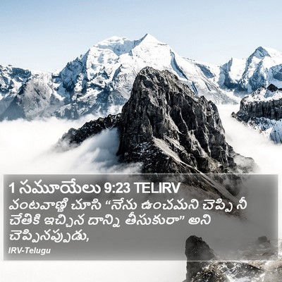 1 సమూయేలు 9:23 TELIRV Bible Verse Image