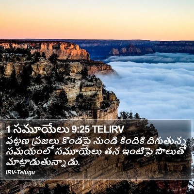 1 సమూయేలు 9:25 TELIRV Bible Verse Image