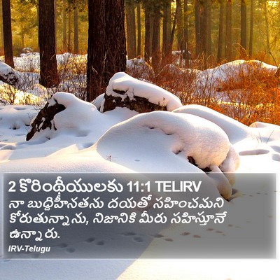 2 కొరింథీయులకు 11:1 TELIRV Bible Verse Image