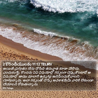 2 కొరింథీయులకు 11:12 TELIRV Bible Verse Image
