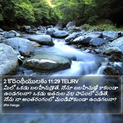 2 కొరింథీయులకు 11:29 TELIRV Bible Verse Image