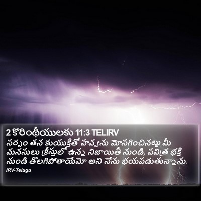 2 కొరింథీయులకు 11:3 TELIRV Bible Verse Image