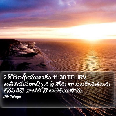 2 కొరింథీయులకు 11:30 TELIRV Bible Verse Image