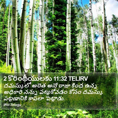 2 కొరింథీయులకు 11:32 TELIRV Bible Verse Image
