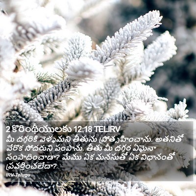 2 కొరింథీయులకు 12:18 TELIRV Bible Verse Image