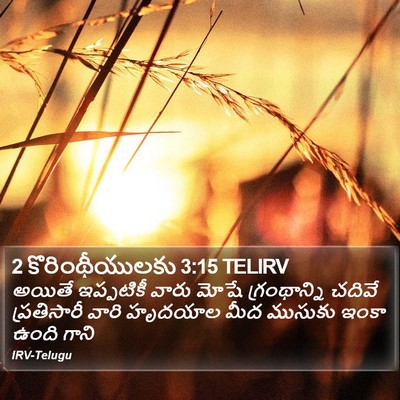 2 కొరింథీయులకు 3:15 TELIRV Bible Verse Image