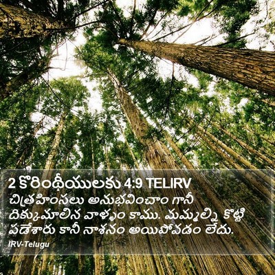 2 కొరింథీయులకు 4:9 TELIRV Bible Verse Image