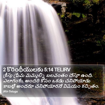 2 కొరింథీయులకు 5:14 TELIRV Bible Verse Image