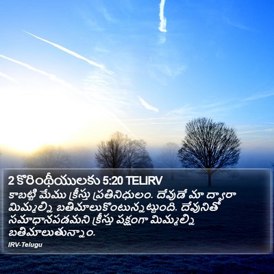 2 కొరింథీయులకు 5:20 TELIRV Bible Verse Image