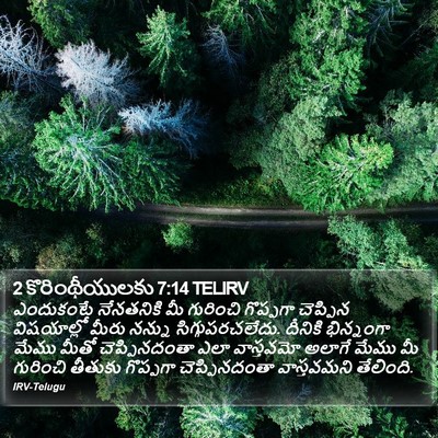 2 కొరింథీయులకు 7:14 TELIRV Bible Verse Image