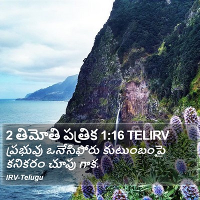 2 తిమోతి పత్రిక 1:16 TELIRV Bible Verse Image