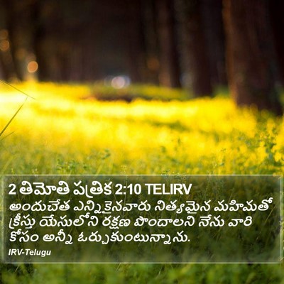 2 తిమోతి పత్రిక 2:10 TELIRV Bible Verse Image