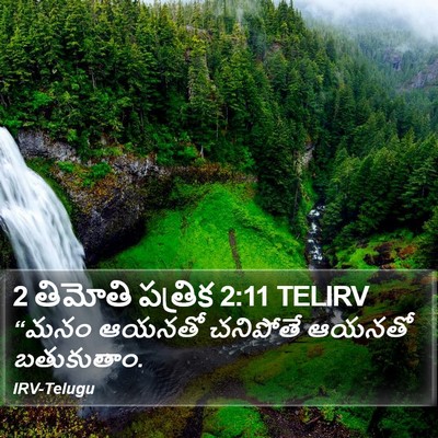 2 తిమోతి పత్రిక 2:11 TELIRV Bible Verse Image