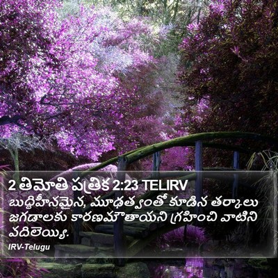 2 తిమోతి పత్రిక 2:23 TELIRV Bible Verse Image