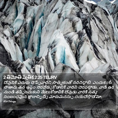 2 తిమోతి పత్రిక 2:25 TELIRV Bible Verse Image
