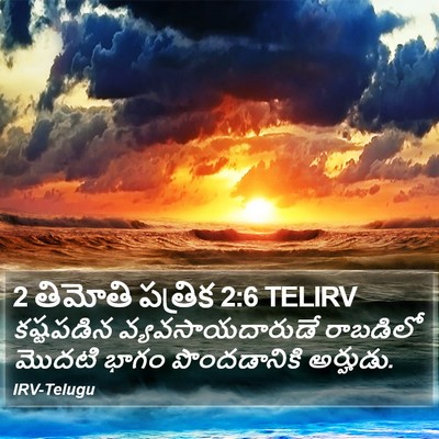 2 తిమోతి పత్రిక 2:6 TELIRV Bible Verse Image