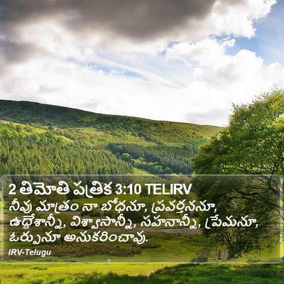 2 తిమోతి పత్రిక 3:10 TELIRV Bible Verse Image