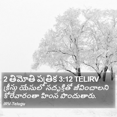 2 తిమోతి పత్రిక 3:12 TELIRV Bible Verse Image