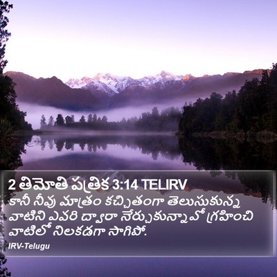 2 తిమోతి పత్రిక 3:14 TELIRV Bible Verse Image