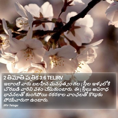 2 తిమోతి పత్రిక 3:6 TELIRV Bible Verse Image