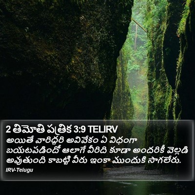 2 తిమోతి పత్రిక 3:9 TELIRV Bible Verse Image