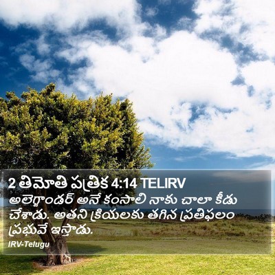 2 తిమోతి పత్రిక 4:14 TELIRV Bible Verse Image