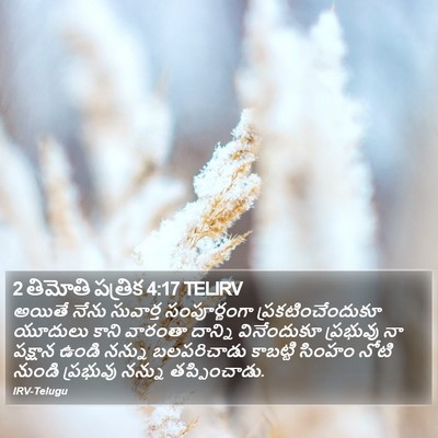 2 తిమోతి పత్రిక 4:17 TELIRV Bible Verse Image