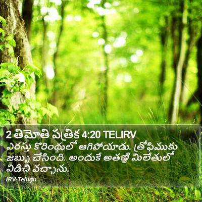 2 తిమోతి పత్రిక 4:20 TELIRV Bible Verse Image