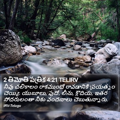 2 తిమోతి పత్రిక 4:21 TELIRV Bible Verse Image