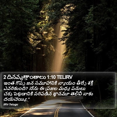 2 దినవృత్తాంతాలు 1:10 TELIRV Bible Verse Image