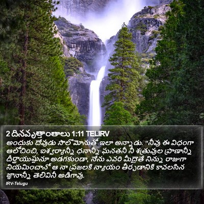 2 దినవృత్తాంతాలు 1:11 TELIRV Bible Verse Image