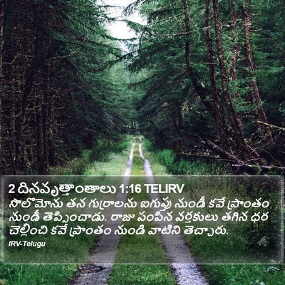 2 దినవృత్తాంతాలు 1:16 TELIRV Bible Verse Image