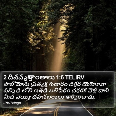 2 దినవృత్తాంతాలు 1:6 TELIRV Bible Verse Image