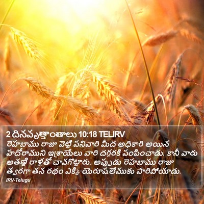 2 దినవృత్తాంతాలు 10:18 TELIRV Bible Verse Image