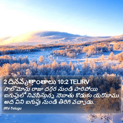 2 దినవృత్తాంతాలు 10:2 TELIRV Bible Verse Image