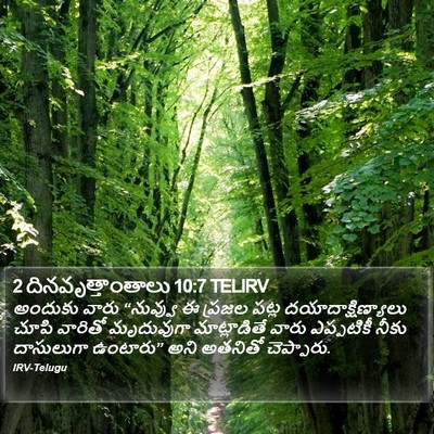 2 దినవృత్తాంతాలు 10:7 TELIRV Bible Verse Image
