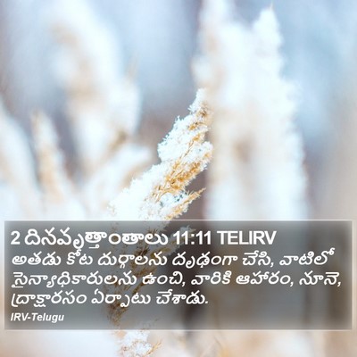 2 దినవృత్తాంతాలు 11:11 TELIRV Bible Verse Image