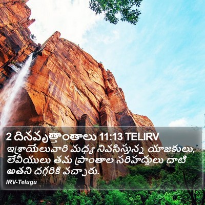 2 దినవృత్తాంతాలు 11:13 TELIRV Bible Verse Image