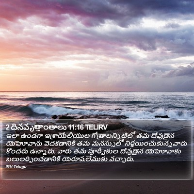 2 దినవృత్తాంతాలు 11:16 TELIRV Bible Verse Image