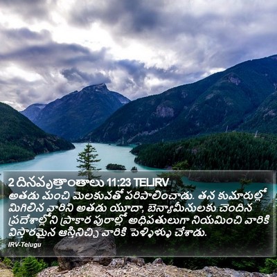 2 దినవృత్తాంతాలు 11:23 TELIRV Bible Verse Image