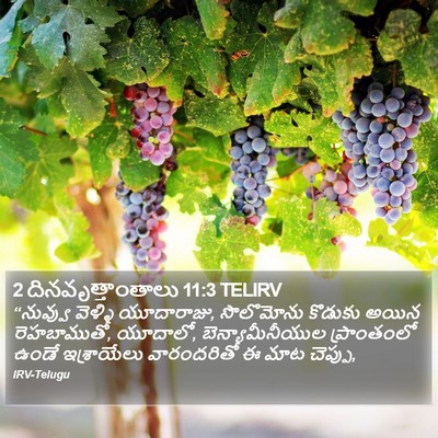 2 దినవృత్తాంతాలు 11:3 TELIRV Bible Verse Image