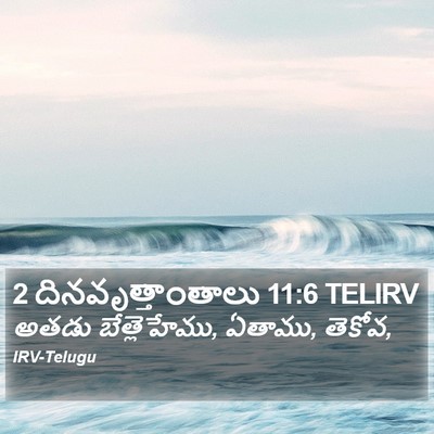 2 దినవృత్తాంతాలు 11:6 TELIRV Bible Verse Image