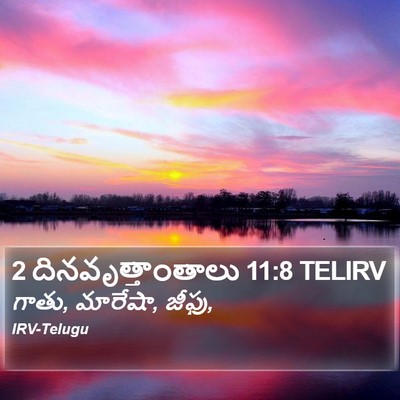 2 దినవృత్తాంతాలు 11:8 TELIRV Bible Verse Image