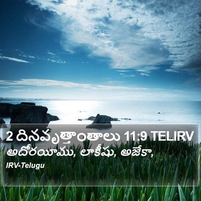 2 దినవృత్తాంతాలు 11:9 TELIRV Bible Verse Image